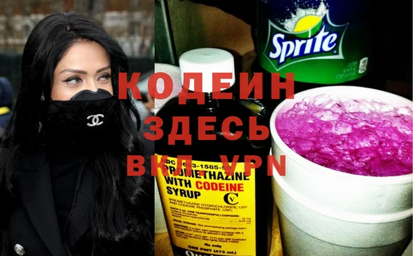 прущие грибы Ладушкин