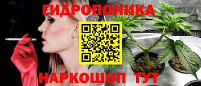 ПСИЛОЦИБИНОВЫЕ ГРИБЫ Краснодар